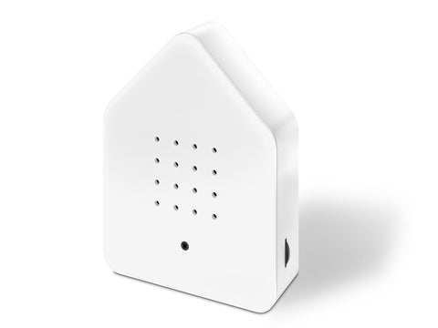 Zwitscherbox White - www.toybox.ae